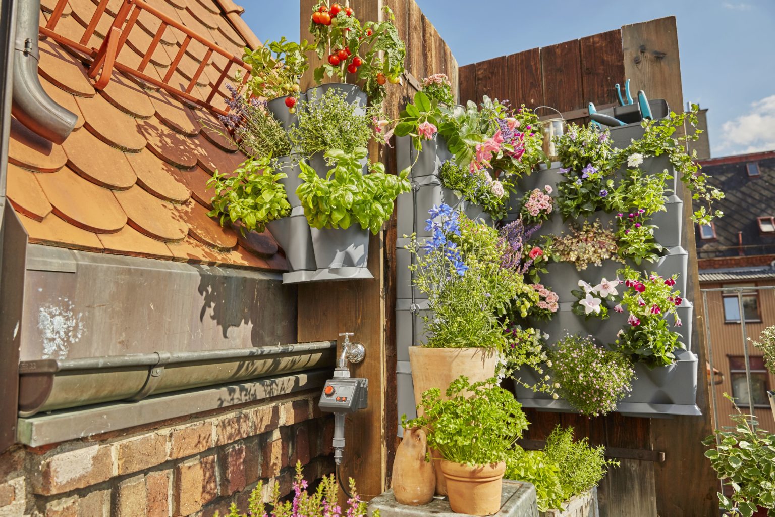 Il giardino a parete: coltivare in verticale