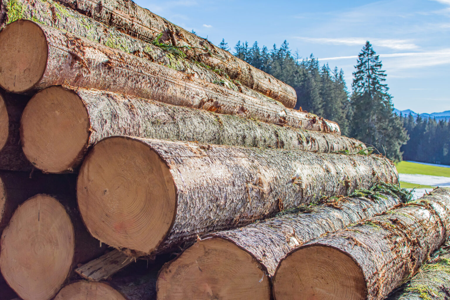 Criteri per valutare i materiali ecosostenibili